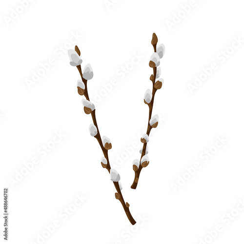 Easter spring twigs blossom pussy willow tree. Vector spring holiday illustration in cartoon flat style isolated on a white background. photo