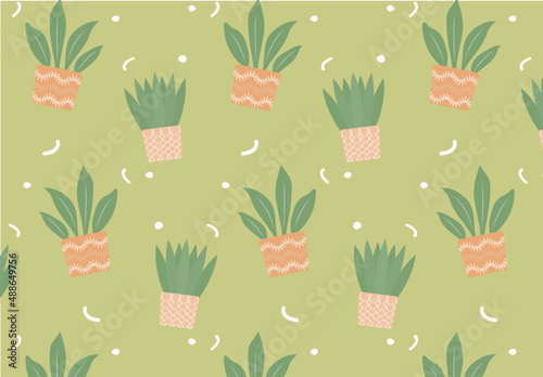 Pattern Plants