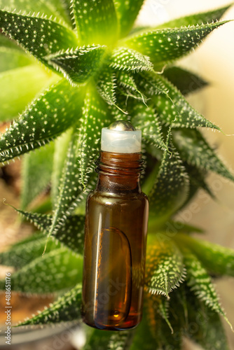 essential oil roll on little bottle with aloe vera leaves  close up mockup