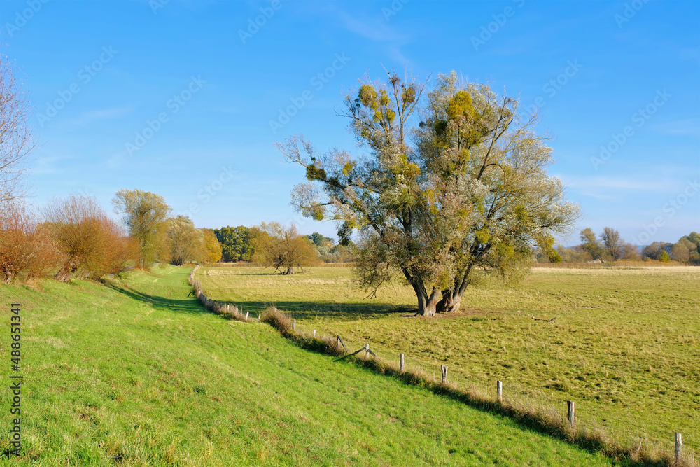 Nationalpark Odertal in der Uckermark, einzigartige Auenlandschaft - National Park Odertal in Germany, unique floodplain landscape Nationalpark Odertal in der Uckermark, einzigartige Auenlandschaft - National Park Odertal in Germany, unique floodplain landscape