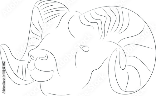 Stylized vector sketch drawn with strokes of lines of different thicknesses. Zodiac signs. Aries. The head of a ram with twisted horns.