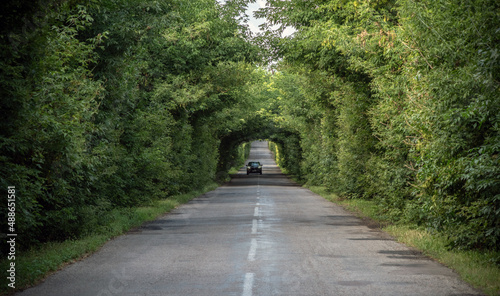 Canvas-taulu A car in the natural tunnel of trees on a country road