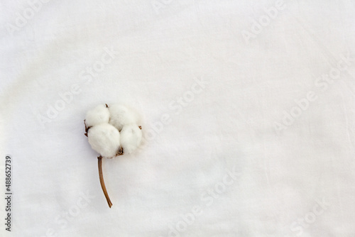 Flower cotton on white knitted fabric background. Top view, flat lay. Ecological healthy lifestyle