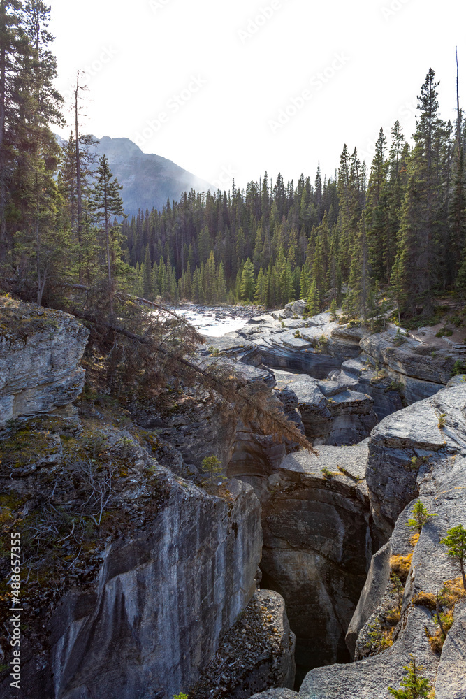Mistaya Canyon waterfall while sun is setting behind trees water flows fall below through rock walls Mistaya Canyon waterfall while sun is setting behind trees water flows fall below through rock walls