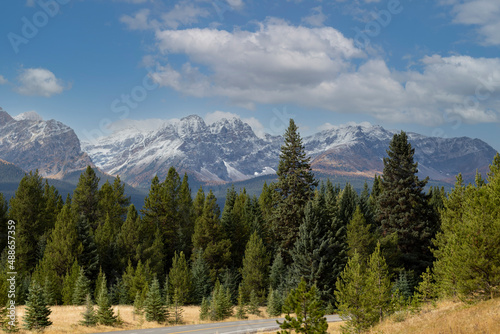 Green trees in front of the Canadian Rocky Mountains in summer with road mountain and blue cloud sky