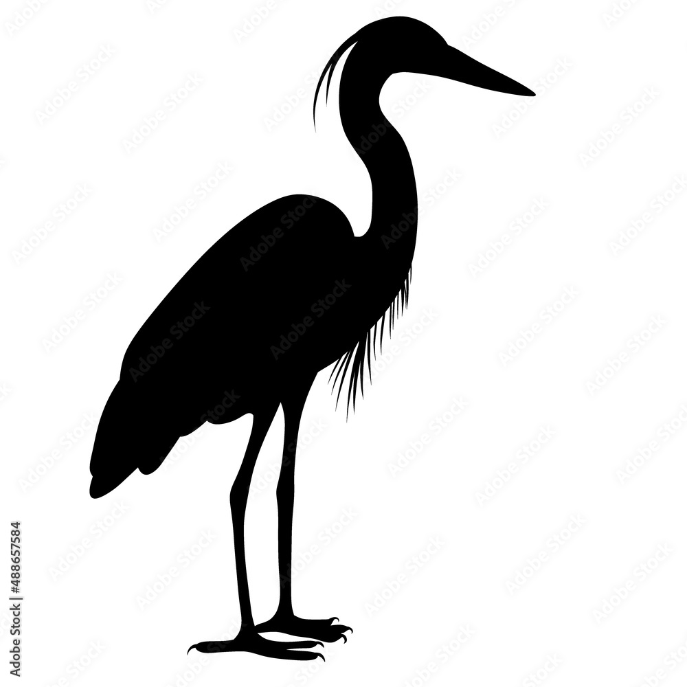 Fototapeta premium Black silhouette of a heron. A water bird. A relative of the stork and the crane. Illustration of an animal