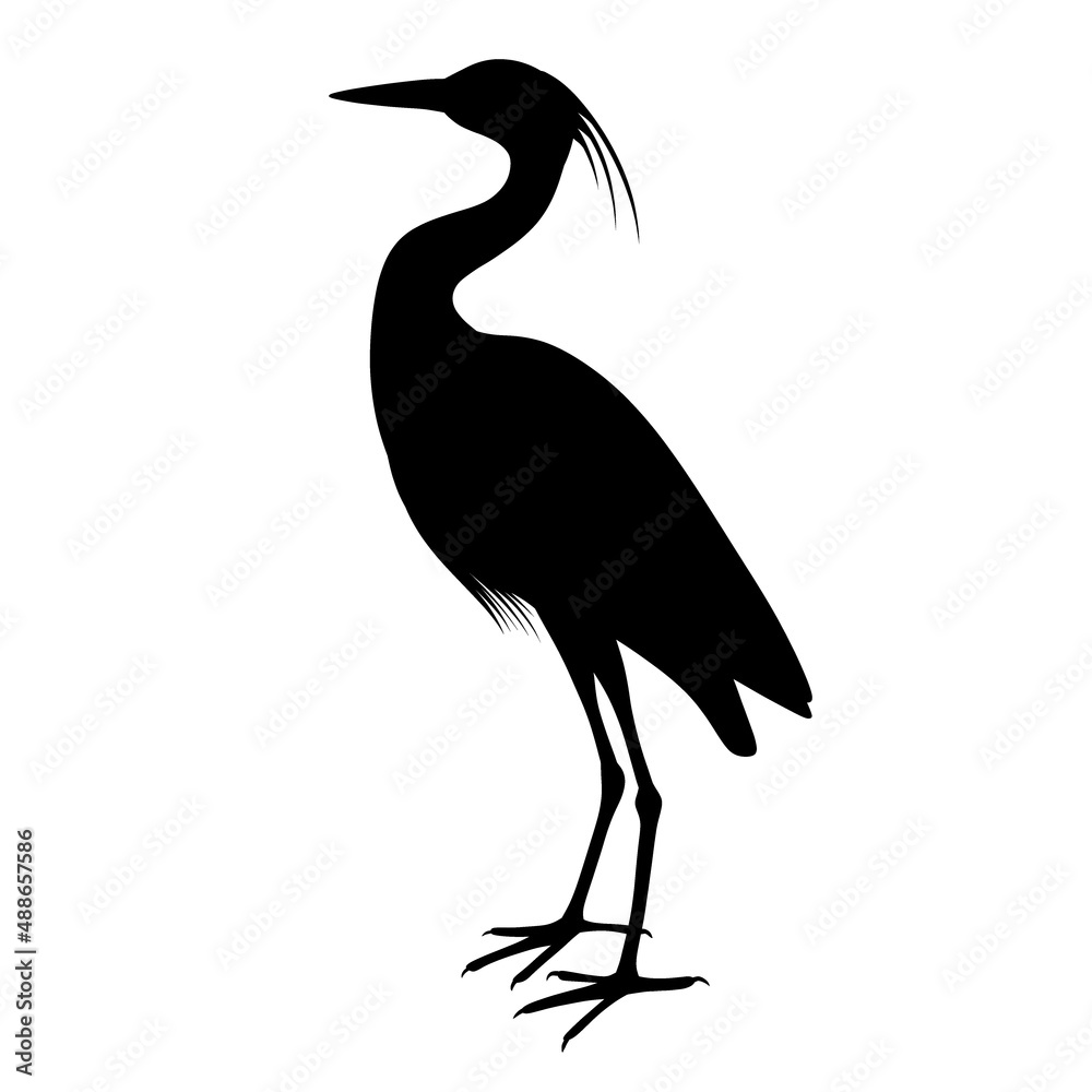 Black silhouette of a heron. A water bird. A relative of the stork and the crane. Illustration of an animal Black silhouette of a heron. A water bird. A relative of the stork and the crane. Illustration of an animal