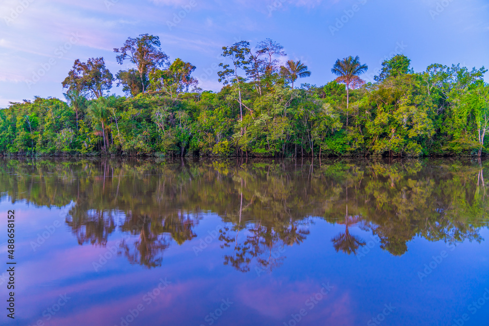 Amazon River bank at dusk without wind Amazon River bank at dusk without wind