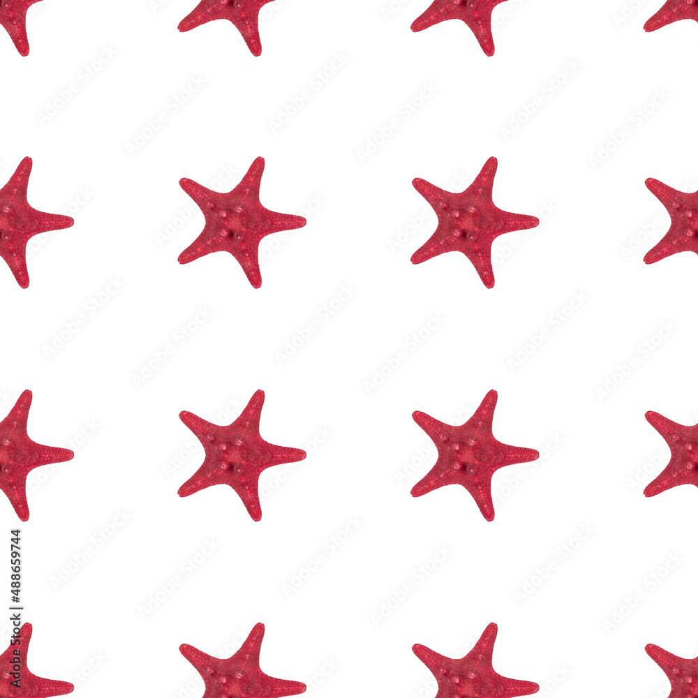Dried red sea star fish pattern on white background close up. Top view, minimal flat lay style. Seamless Banner or poster Dried red sea star fish pattern on white background close up. Top view, minimal flat lay style. Seamless Banner or poster