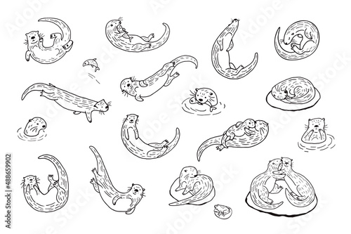 Otter water animal vector line illustrations set