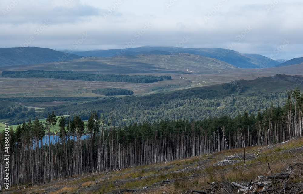 Loch Rannoch from Tay Forest park, with Rannoch forest in the foreground