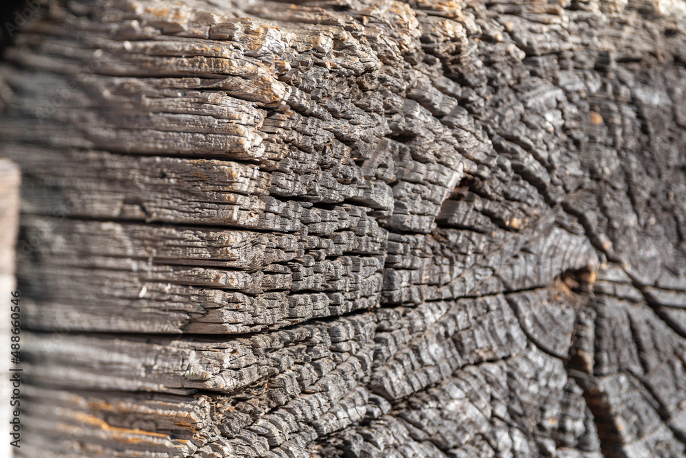 Old wood Old wood