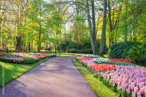 Keukenhof royal garden in spring, scenic view of sunny park alley with different flowers and bright green grass and trees, beautiful landscape, outdoor travel and botanical background, Netherlands