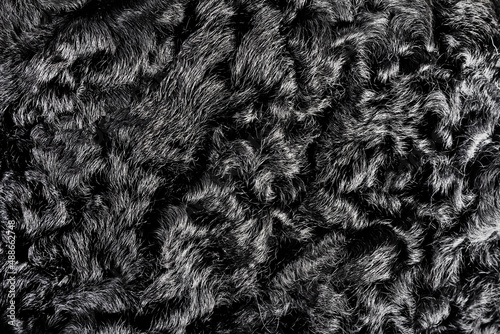 Backdrop close-up photo texture of black colored astrakhan fur material. photo