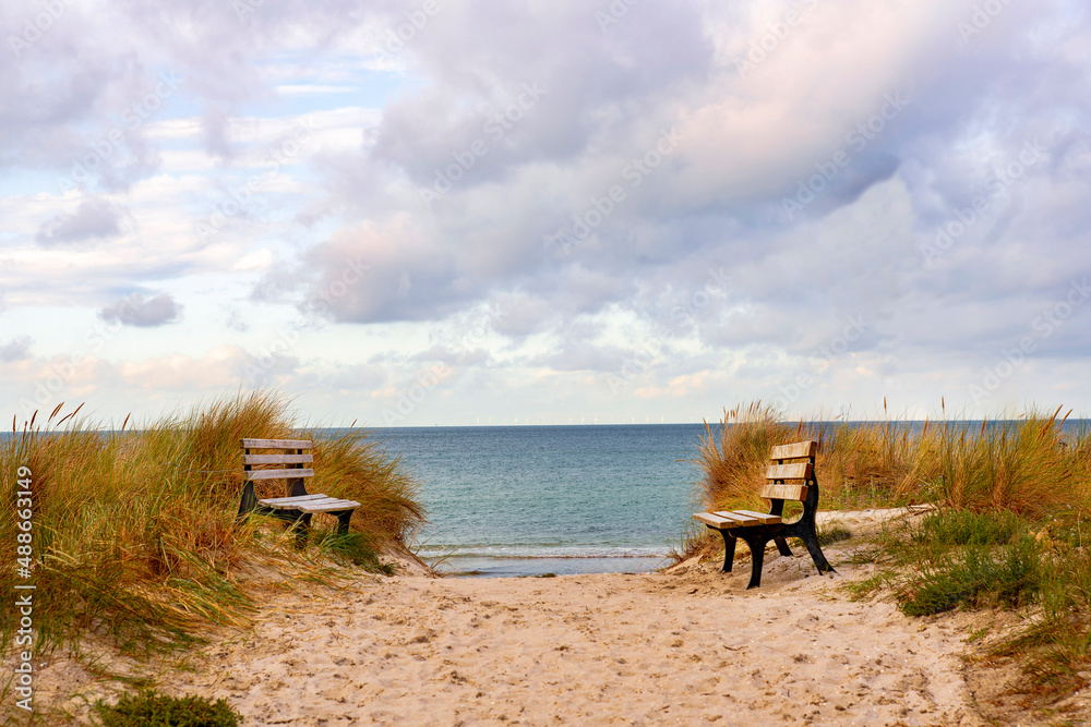 The path to the beach with two benches in the sand dunes The path to the beach with two benches in the sand dunes