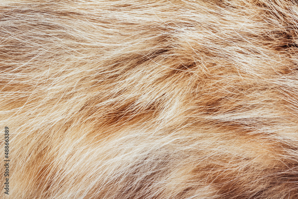 Backdrop close-up photo texture of brown and red colored animal fur and hair material. Backdrop close-up photo texture of brown and red colored animal fur and hair material.