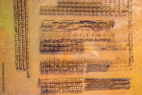Aerial view of oyster beds at low tide, Lege-Cap-Ferret, Arachon Basin, Gironde, Nouvelle-Aquitaine, France photo