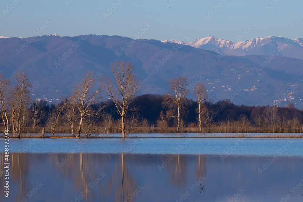 Landscape in the areas of the flooded swamp in the province of Pisa  in winter