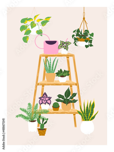 Contemporary art posters with floral theme. Shelf, watering can, houseplants growing in pots illustration