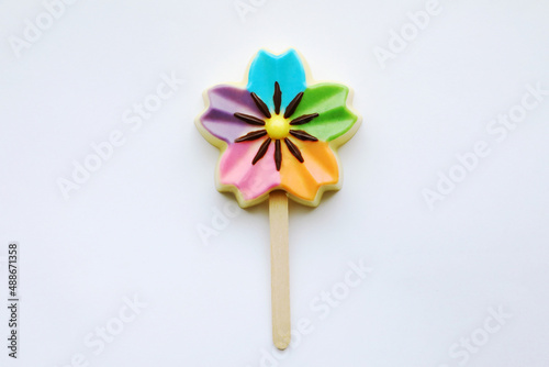 chocolate candy on a stick with a beautiful multicolored glaze 