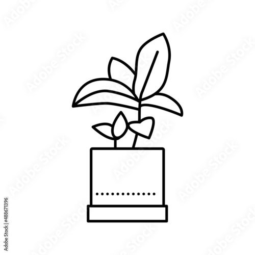 green leaves houseplant in pot line icon vector illustration