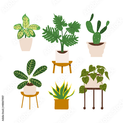Urban jungle illustration, trendy home decor with snake plants, calathea, prayer, sansevieria, philodendron, dumb cane, tropical leaves in stylish planters and pots.