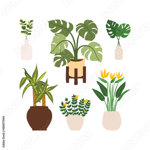 Urban jungle illustration, trendy home decor with plants, monstera, bird of paradise, eucalyptus, tropical leaves in stylish planters and pots.