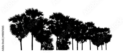 silhouette of palm trees High resolution tree landscape isolated on white background for print and web page with cut paths and alpha channels.