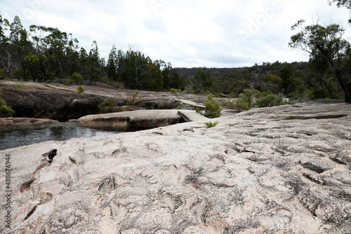 Beautiful Giraween National Park in Southern Downs Queensland, featuring native plants, gum trees and giant granite boulders