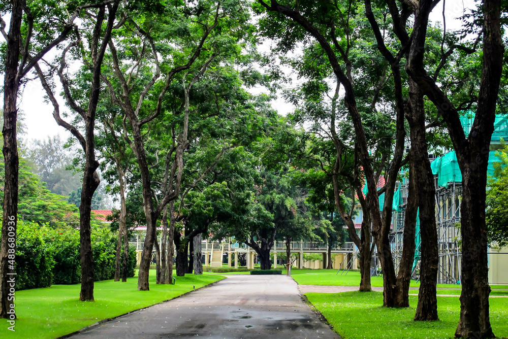 path in the park