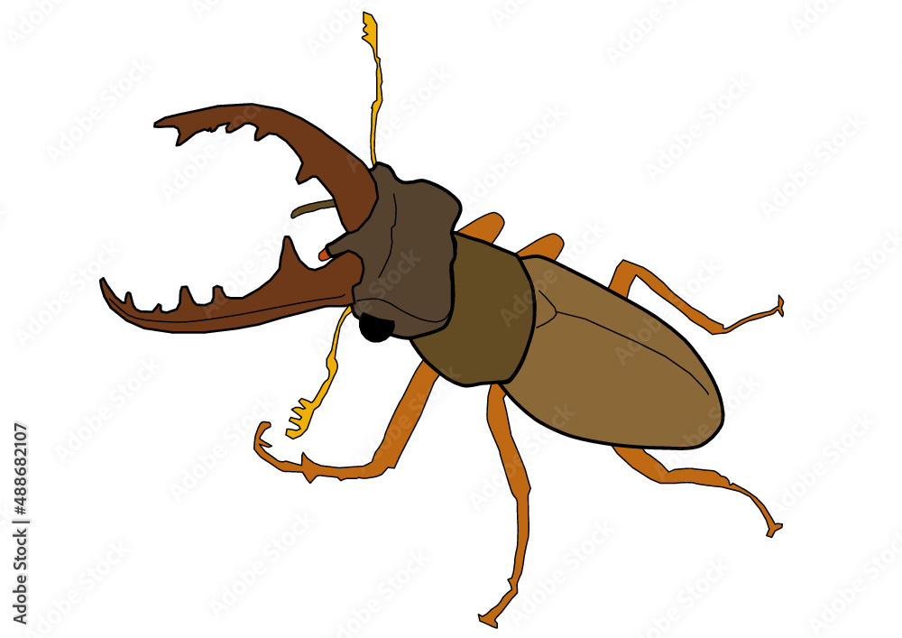 鍬形虫 Images Browse 92 Stock Photos Vectors And Video Adobe Stock