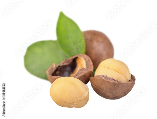 Peeled and whole nuts with macadamia leaf isolated