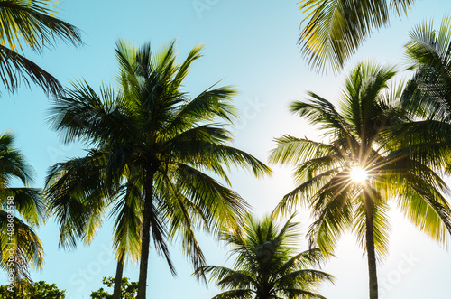Sun Shining Through Palm Tree Against Blue Sky