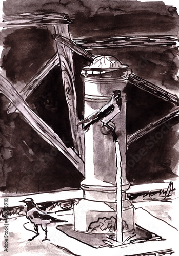 Italy Rome crows on a water column, Travel sketch, graphic drawing