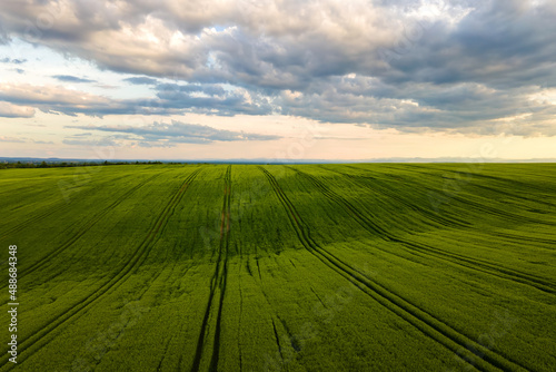 Aerial landscape view of green cultivated agricultural fields with growing crops on bright summer day