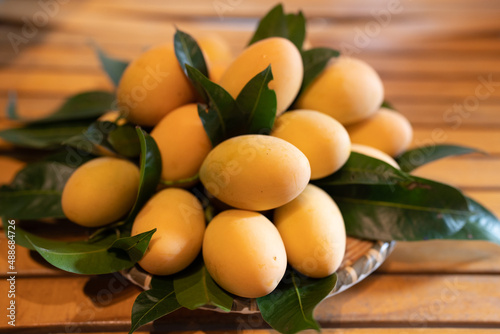 Thai Plango fruit Marian pl...