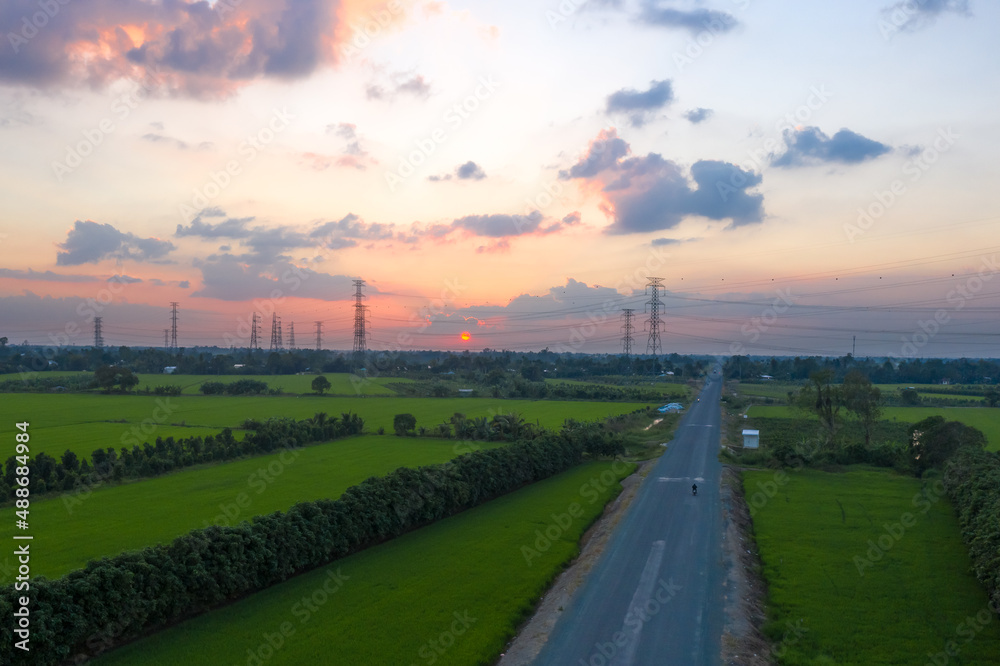 Rice field with electric poles