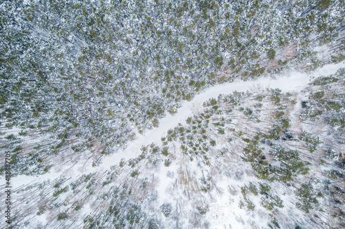 Aerial view of the road in the winter forest with high pine or spruce trees covered by snow. Driving in winter.