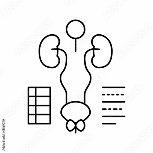 examining genitourinary system line icon vector illustration