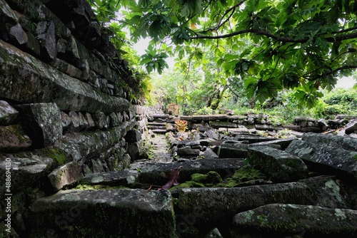 The outer walls and forest of hidden archaeological site Nan Madol ancient ruins of ancient civilisation in Pohnpei  Federated States of Micronesia