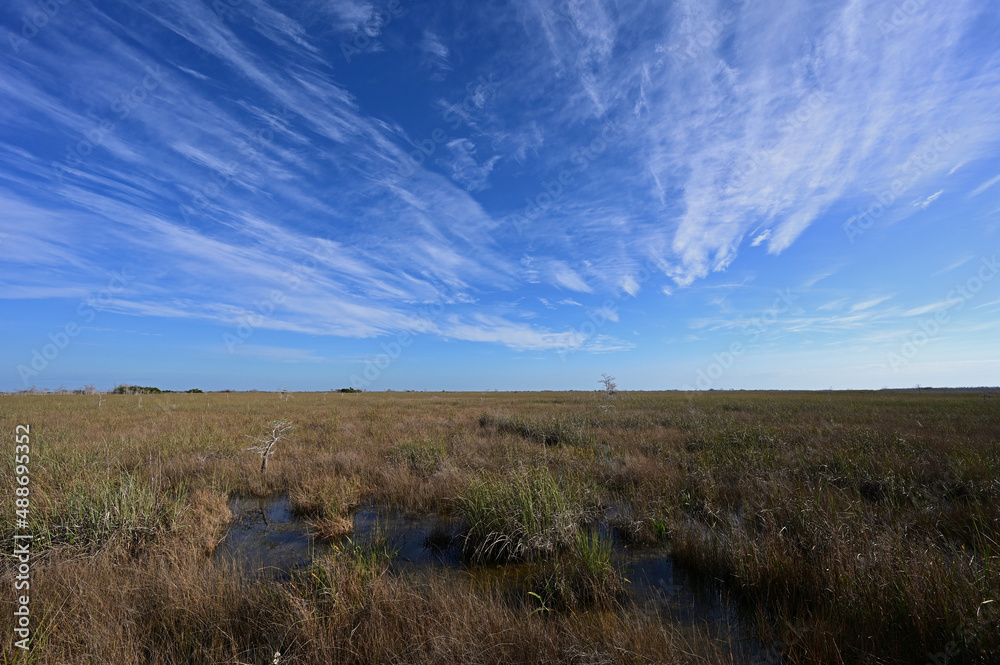 View of expansive sawgrass prairie from Pa Hay Okee overlook in Everglades National Park, Florida. View of expansive sawgrass prairie from Pa Hay Okee overlook in Everglades National Park, Florida.