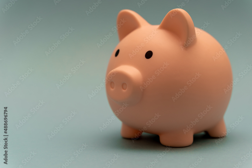 Pink piggy bank on a blue background close-up. Saving and accumulating money, financial security, budget planning and investment.