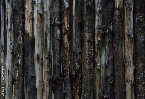 wooden bark texture wallpaper background.