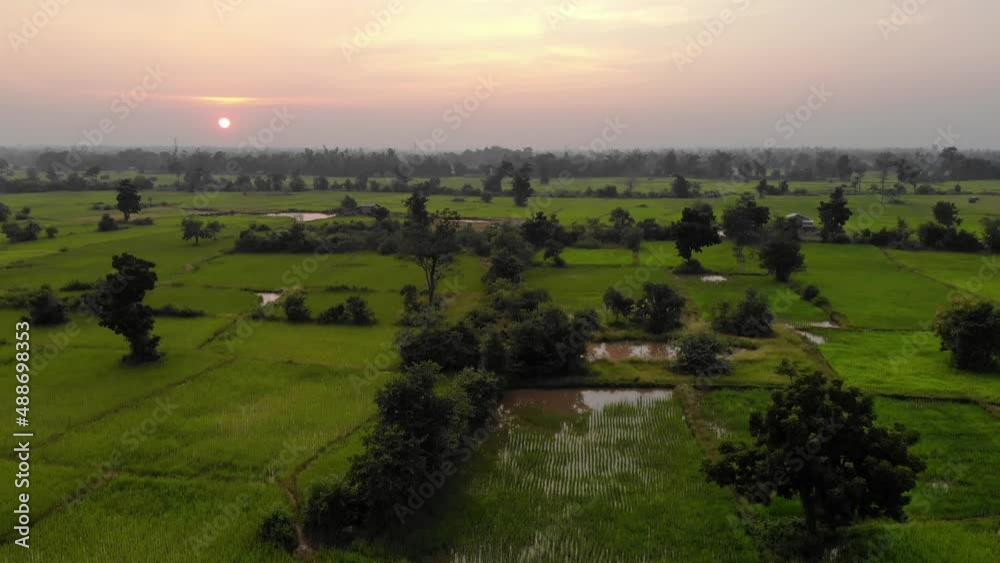 Sunset Aerial dolly over rice paddies at Ban Soung, Laos, Salavan. Orange - Pink overcast sky Sunset Aerial dolly over rice paddies at Ban Soung, Laos, Salavan. Orange - Pink overcast sky