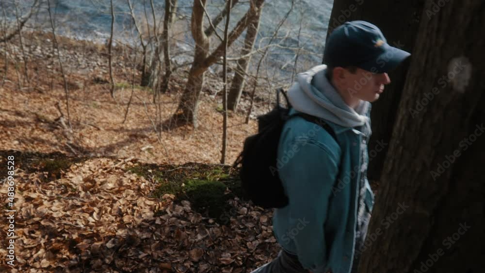 custom made wallpaper toronto digitalman walking through trees, leaves on the forest ground and it's a sunny autumn day. exploring nature in slow motion 4K. fall landscape.