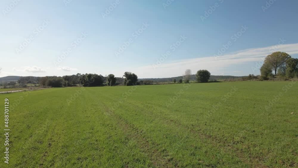 Aerial views with drone of a field in the area of Girona Spain green landscape nature organic farming Freshly grown I turn forward low