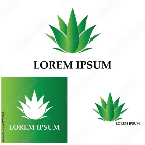 Aloe vera logo vector ilustration template