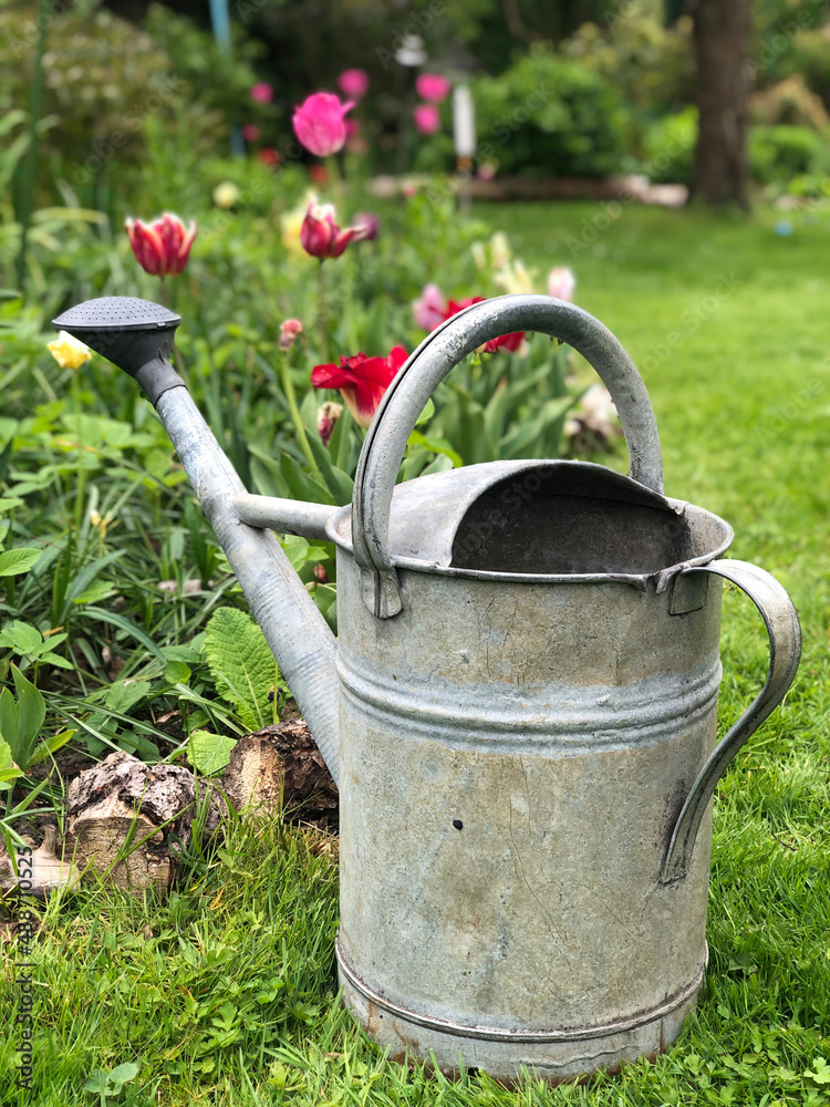 Gießkanne, Gartenarbeit, Frühling, Grün, Garten Gießkanne, Gartenarbeit, Frühling, Grün, Garten