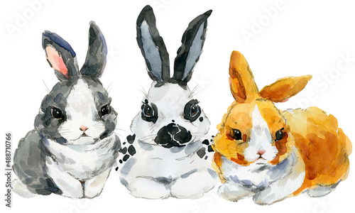 Fototapeta Naklejka Na Ścianę i Meble -  cartoon rabbit. forest animal illustration. cute watercolor hare