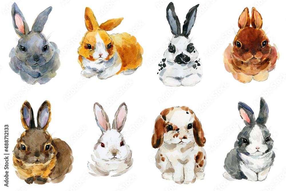 cartoon rabbit collection. forest animal illustration. cute watercolor hare